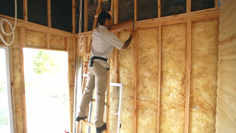 Best Batt and Roll Insulation  in Le Center, MN